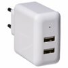 Amazon Basics Dual USB Charger