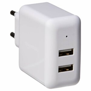 Amazon Basics Dual USB Charger