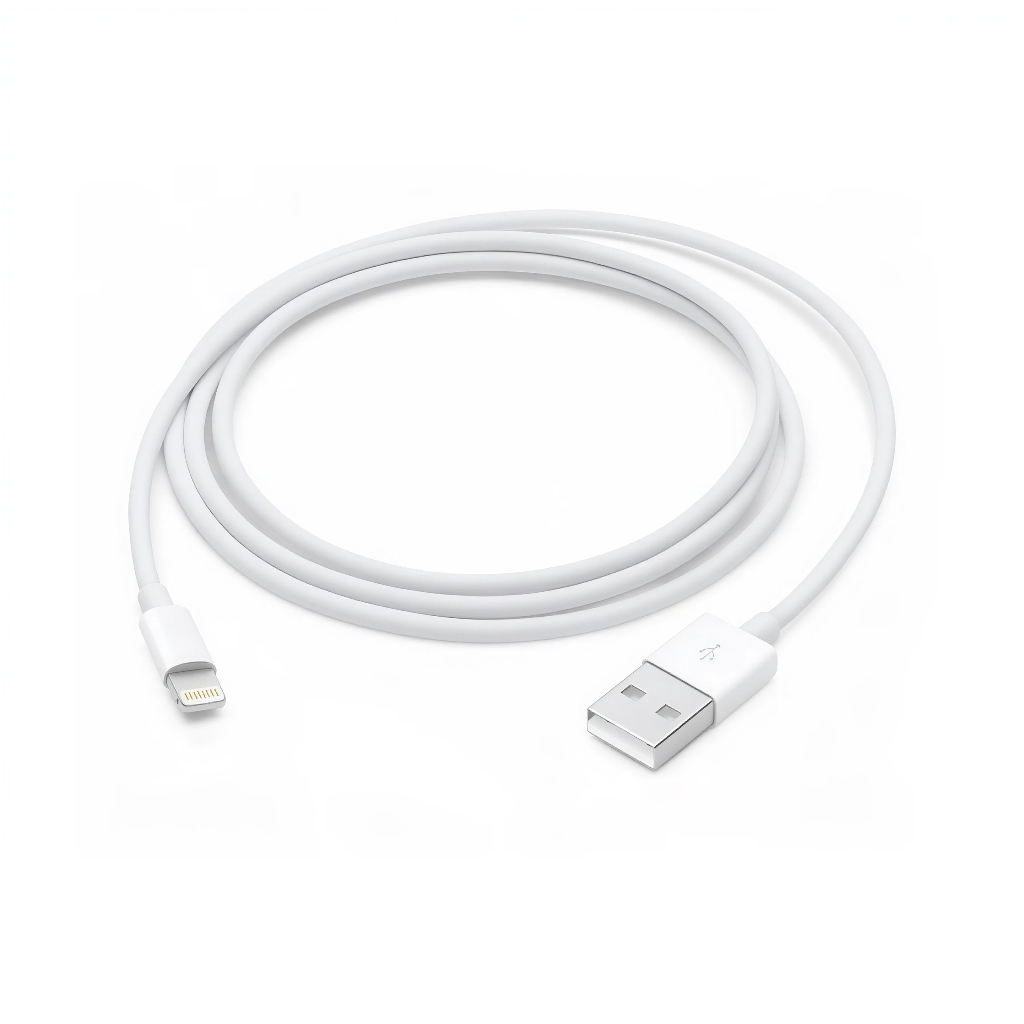 Apple USB-A to Lightning Cable